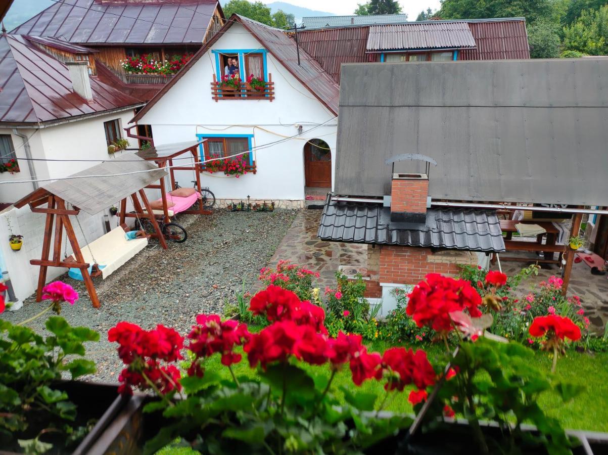 Hotel Casa Toth Din Tipterai Vişeu de Sus Zewnętrze zdjęcie