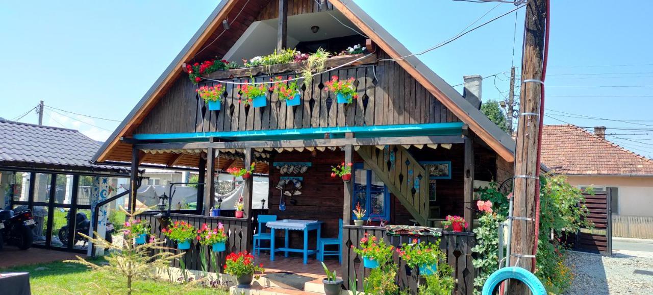 Hotel Casa Toth Din Tipterai Vişeu de Sus Zewnętrze zdjęcie