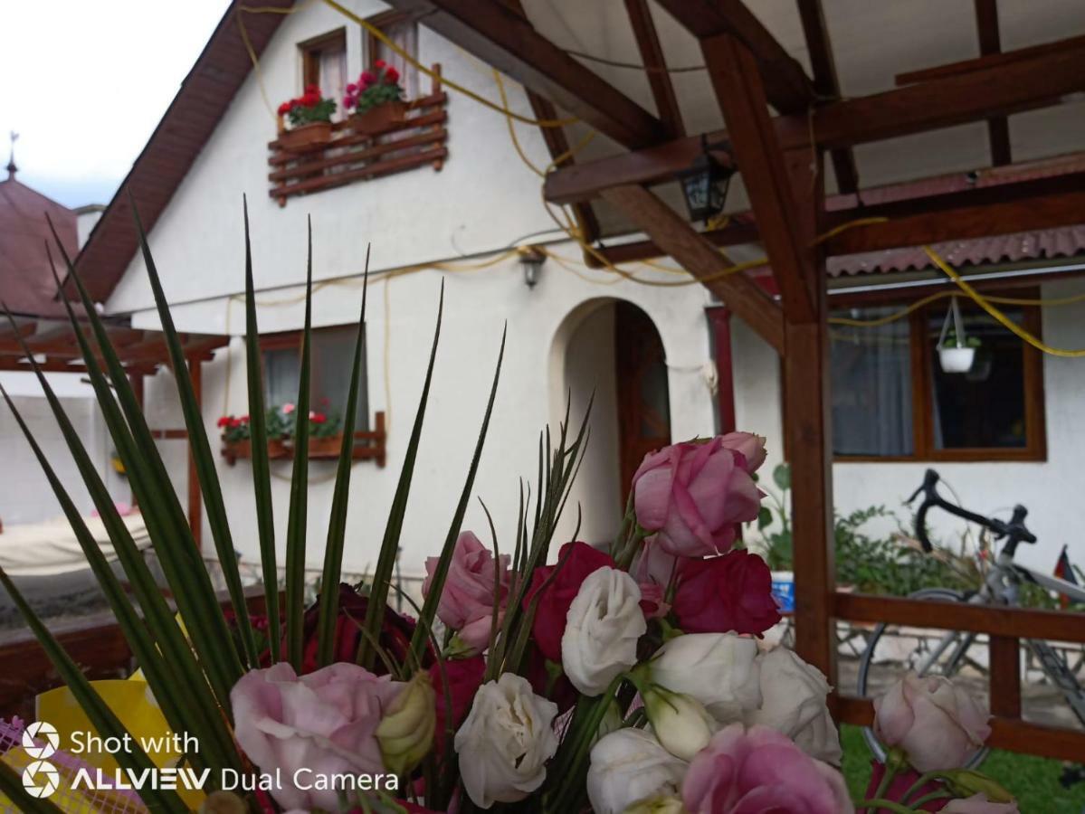 Hotel Casa Toth Din Tipterai Vişeu de Sus Zewnętrze zdjęcie